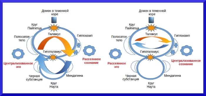 Таламопсихология эго и теория познания до 17 мая 2020 года Эго и сознание - концепция Андрея Булатова