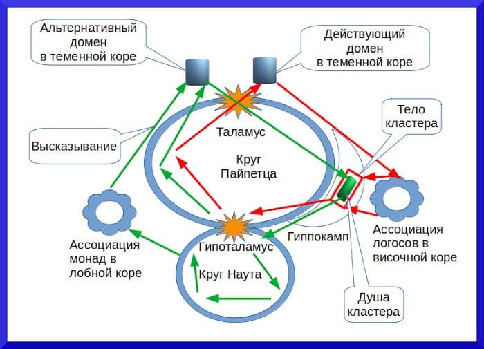 Нейрофизиология души и познания до 6 июля 2020 года Схема познания - концепция Андрея Булатова