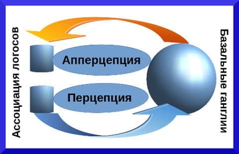 Механизм образования рассудочной апперцепции - концепция Андрея Булатова