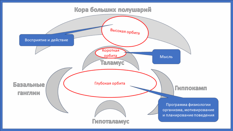Анатомия и физиология психики - концепция Андрея Булатова