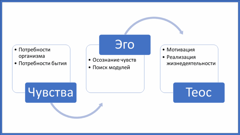 Чувства и мотивация