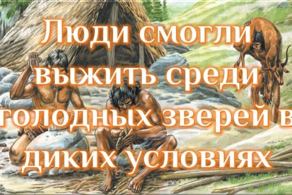 Для чего люди научились разводить огонь Для чего люди разводили огонь? Концепция Андрея Булатова