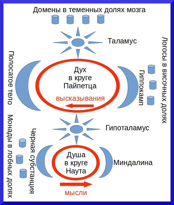 Теория души и духа Душа и дух - концепция Андрея Булатова