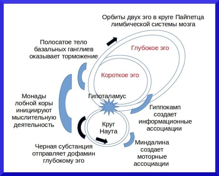 Четыре эго человека Короткое и глубокое эго человека - концепция Андрея Булатова