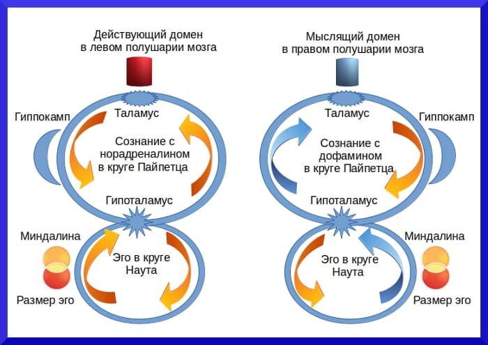 Эго и сознание человека до 24 февраля 2020 года Эго человека в круге - концепция Андрея Булатова