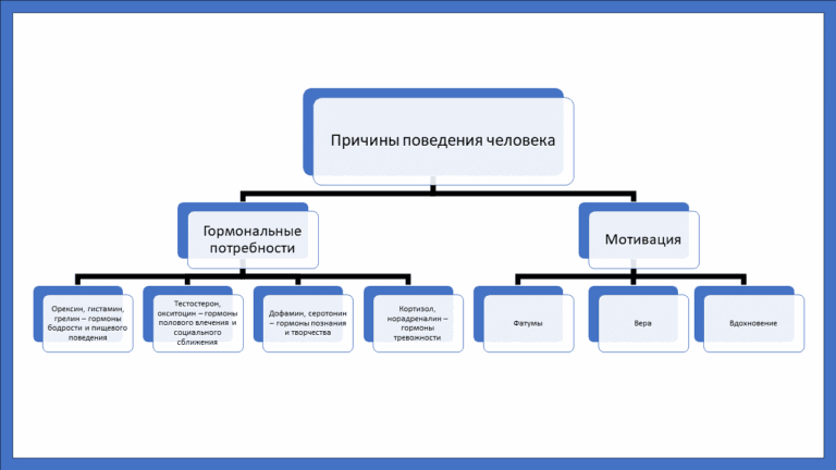 Гормональные потребности и мотивация