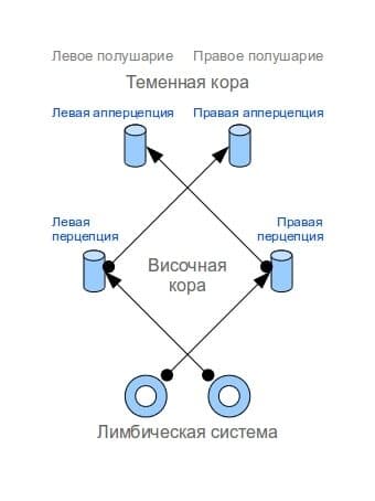 Интеллект - концепция Андрея Булатова