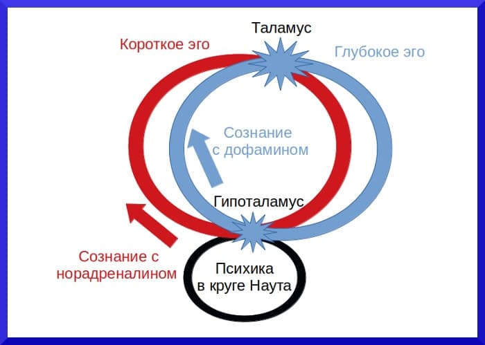 Короткое и глубокое эго человека до 12 февраля 2020 года Эго и сознание - концепция Андрея Булатова
