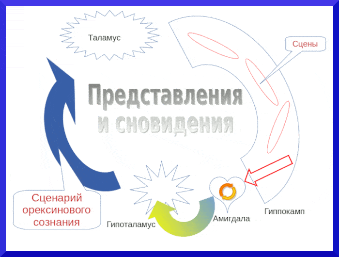 Лень и мотивация Лень и мотивация - концепция Булатова