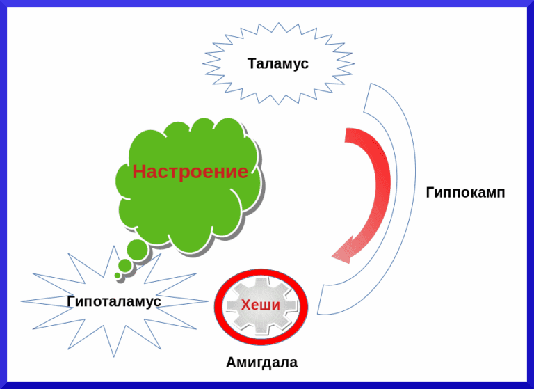 Мотивация, чувства и эмоции - концепция Андрея Булатова