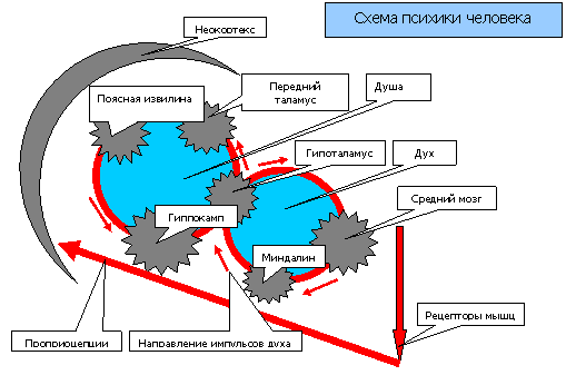 Психология, ноябрь 2007 год Схема психики человека - концепция Андрея Булатова