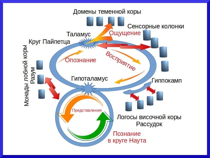 Опознание и познание предметов до 16 февраля 2020 года Познание в круге - концепция Андрея Булатова