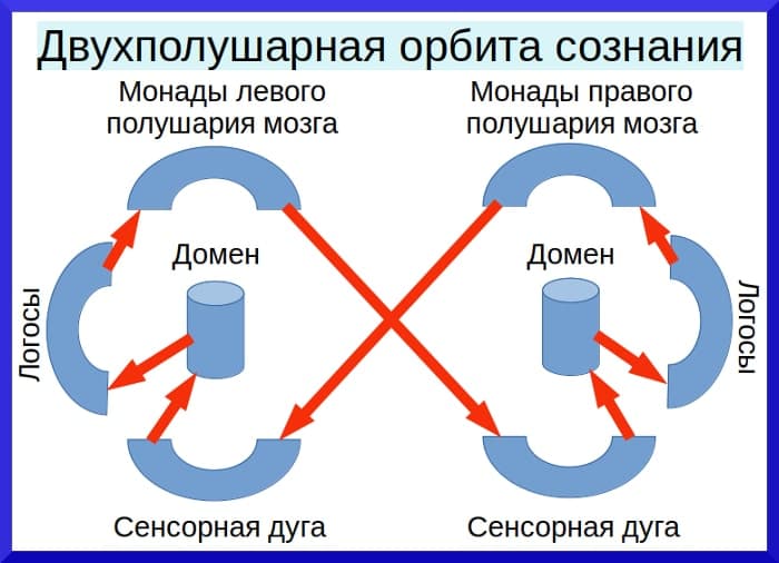 Межполушарные взаимодействия головного мозга человека до 21 января 2019 года Двухполушарная орбита сознания - концепция Андрея Булатова
