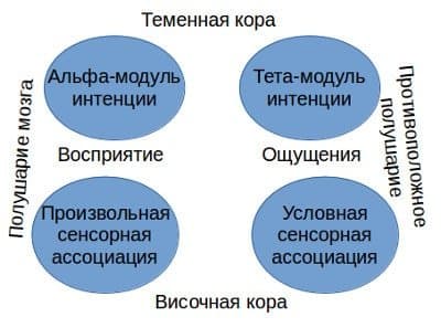 Ощущения, представления, восприятие до 15 декабря 2015г Ощущения, представления, восприятие - концепция Андрея Булатова
