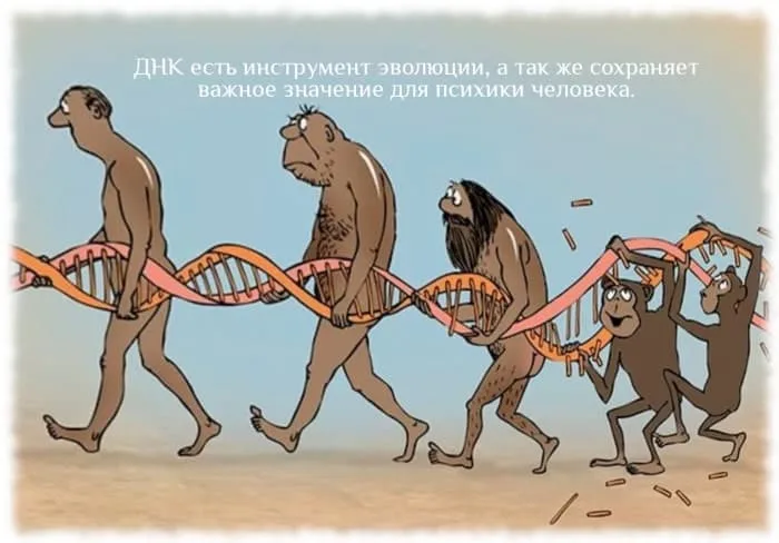 Основы таламопсихологии - концепция Андрея Булатова