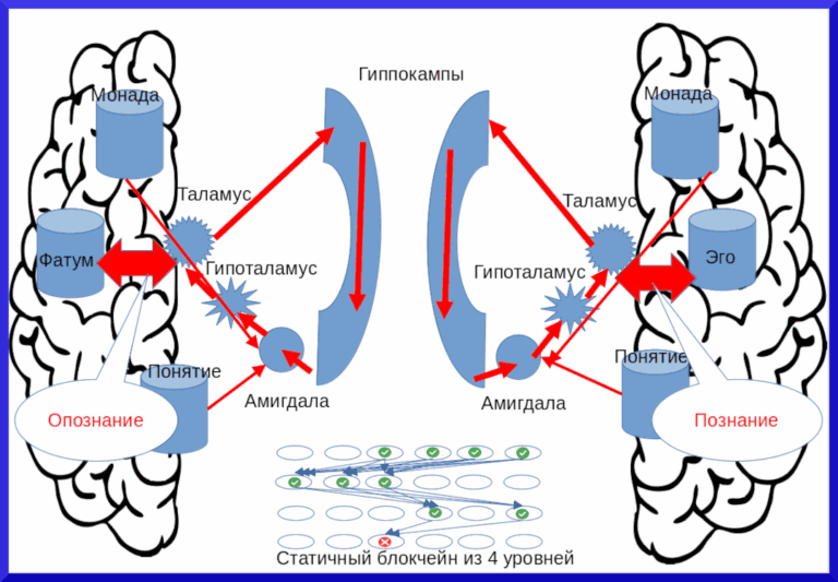 Парадигма таламической психологии - концепция Андрея Булатова
