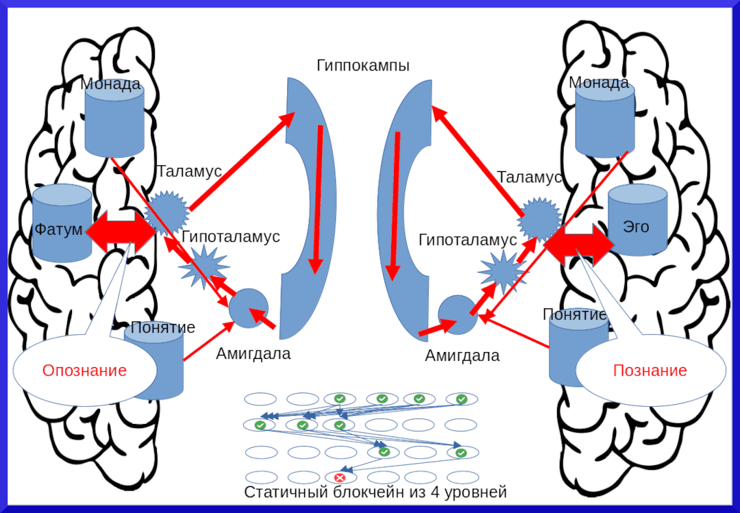 Парадигма таламической психологии - концепция Андрея Булатова