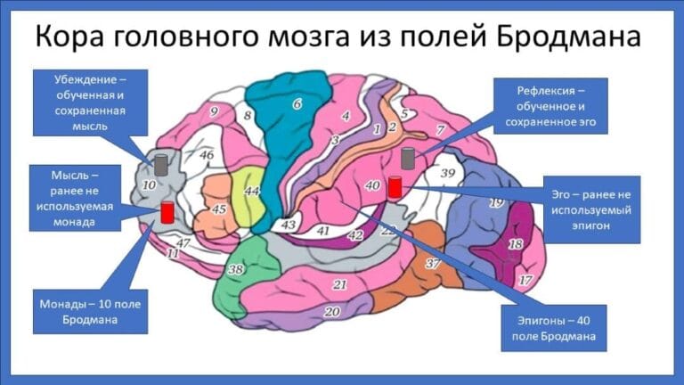 Физиология психики человека - концепция Андрея Булатова