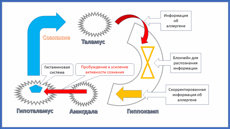 Причина аллергических заболеваний - концепция Андрея Булатова