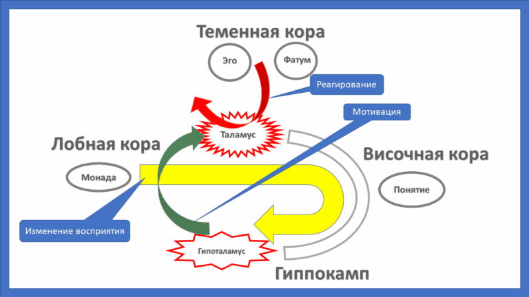 Причина и мотивация