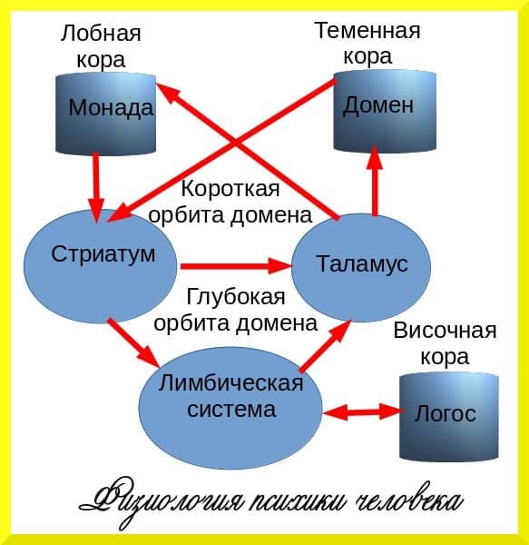 Основы психики человека Схема психики человека - концепция Андрея Булатова