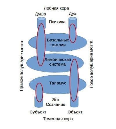 Основы психики человека - концепция Андрея Булатова