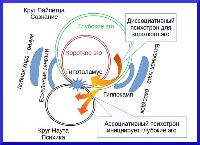 Психотронные технологии Психотроника лимбической системы мозга - концепция Андрея Булатова