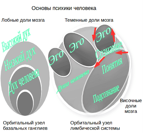 Основы психики человека до октября 2015 года Основы психики человека - концепция Андрея Булатова