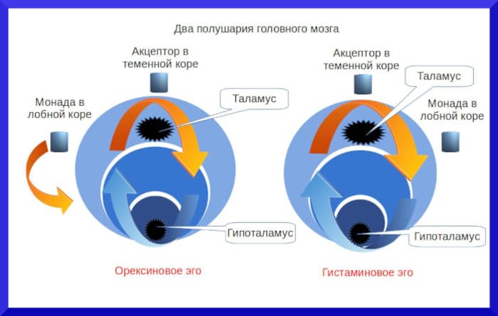Синергетика двух эго человека до 11 июля 2021 года Синергетика двух эго человека - концепция Андрея Булатова