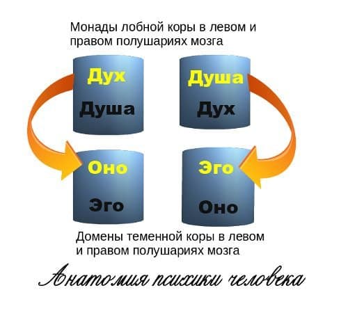 Анатомия психики человека Структура Эго - концепция Андрея Булатова
