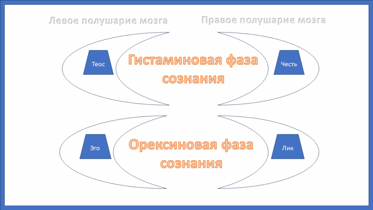 Структура личности