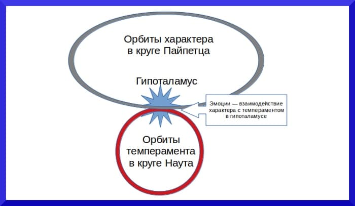Темперамент, характер и эмоции Темперамент и характер - концепция Андрея Булатова