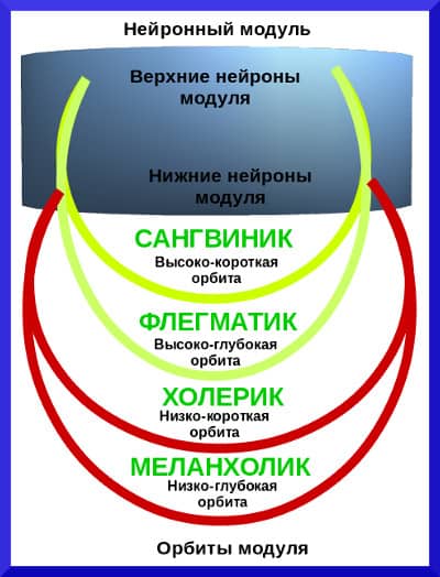 Четыре типа темперамента - концепция Андрея Булатова