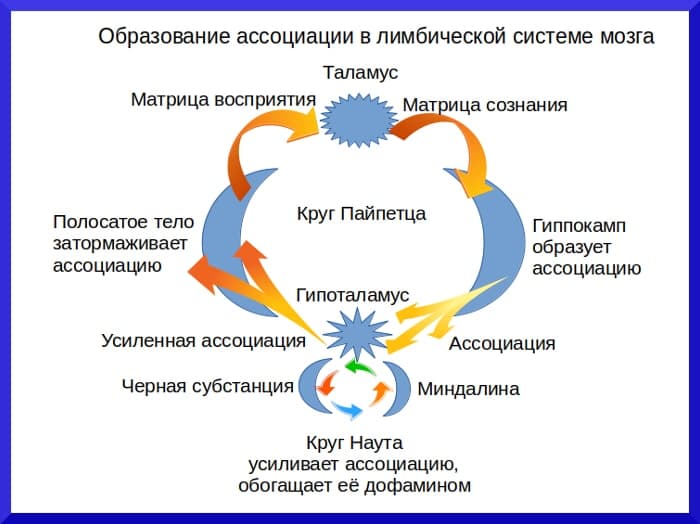 Теория ассоциаций Образование ассоциации - концепция Андрея Булатова