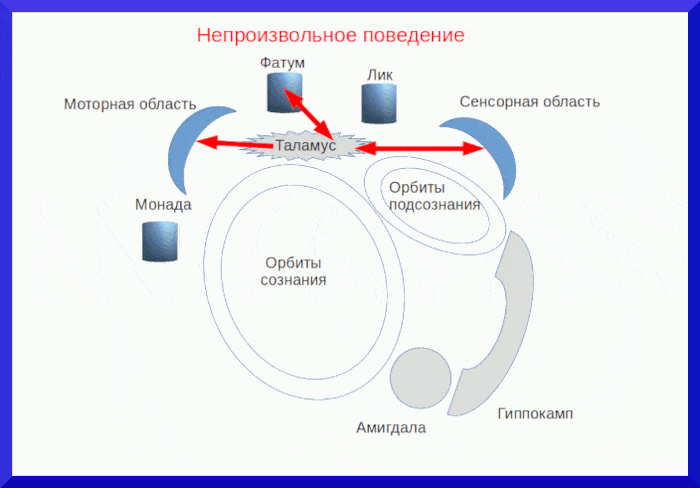 Три вида поведения Три вида поведения - концепция Андрея Булатова
