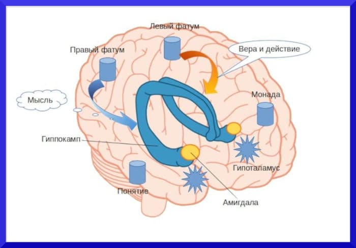 Вера и деятельность фатумов Вера и деятельность фатумов - концепция Андрея Булатова