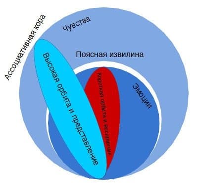 Принцип восприятия и эмоционального возбуждения Восприятие и представление - концепция Андрея Булатова