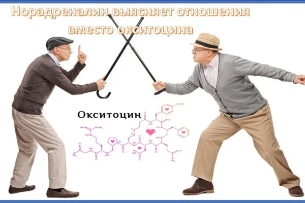 Две противоположности людей Две противоположности людей - концепция Андрея Булатова