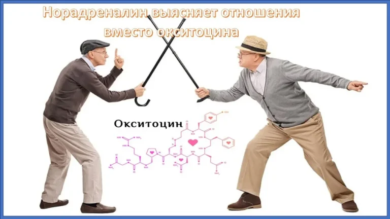 Две противоположности людей - концепция Андрея Булатова