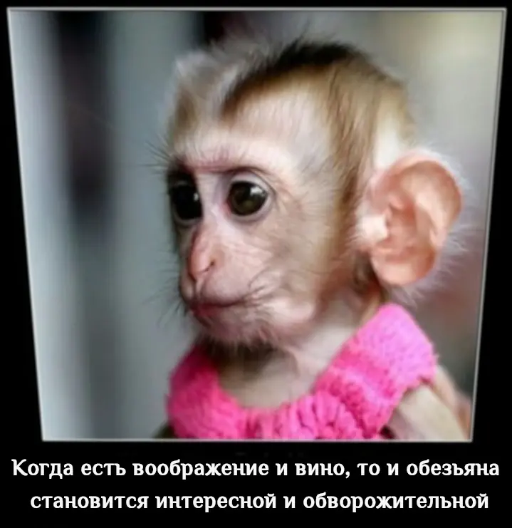Глупая женщина есть мечта умного мужчины Глупая женщина есть мечта умного мужчины