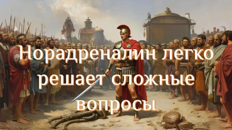 Норадреналин вызывает агрессию - концепция Андрея Булатова