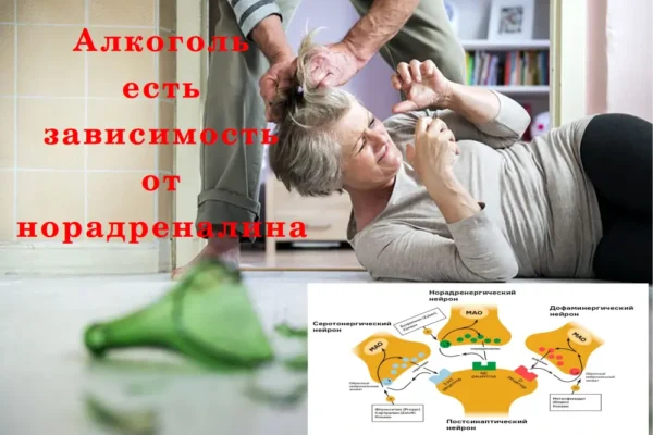 Синтез норадреналина из дофамина - концепция Андрея Булатова