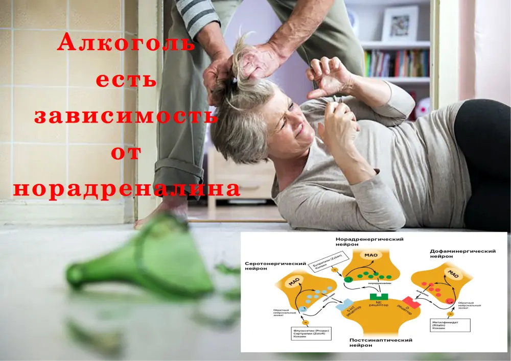 Синтез норадреналина из дофамина - концепция Андрея Булатова