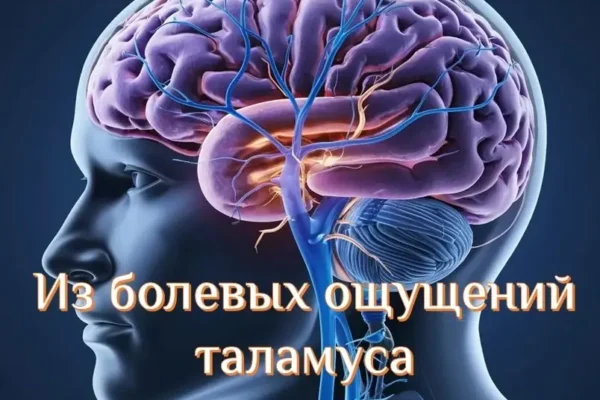 Болевые ощущения таламуса - концепция Андрея Булатова