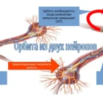Орбита - концепция Андрея Булатова