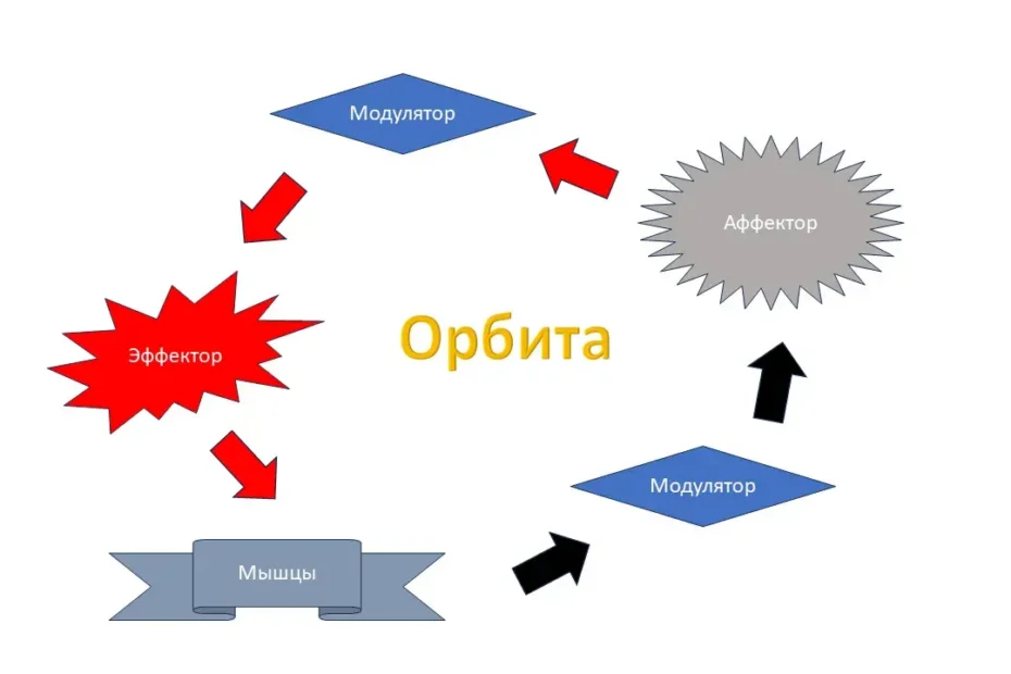 Орбита психики
