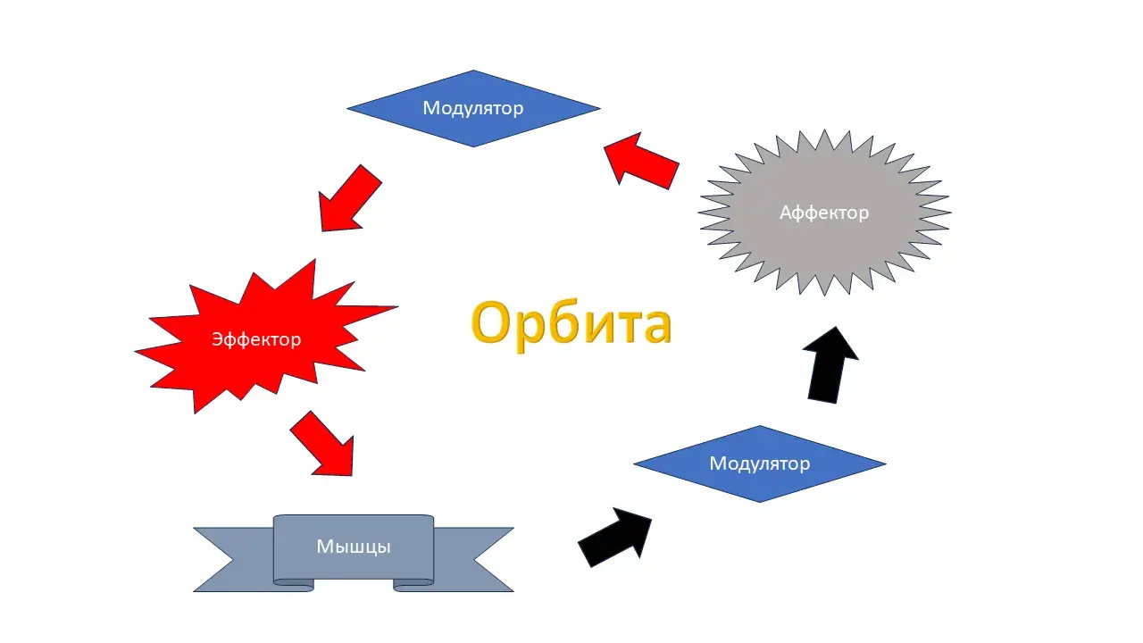 Орбита психики