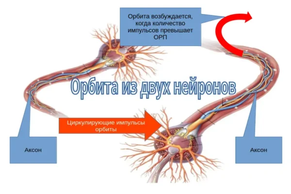 Орбита - концепция Андрея Булатова