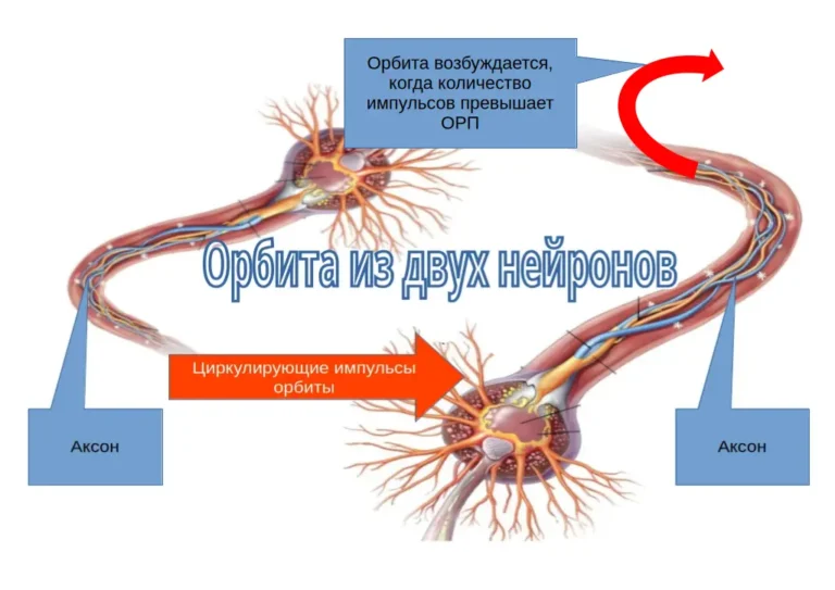 Орбита - концепция Андрея Булатова