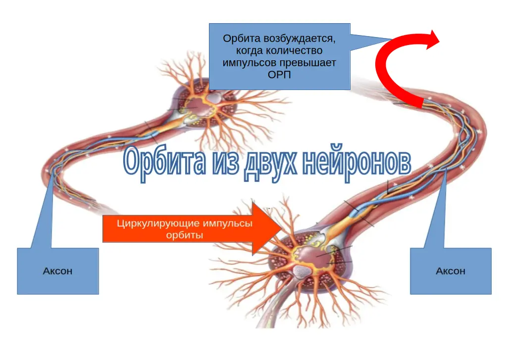 Орбита - концепция Андрея Булатова